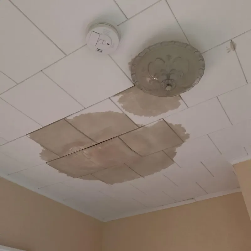 Ceiling Water Damage Repair in Clay County, KS