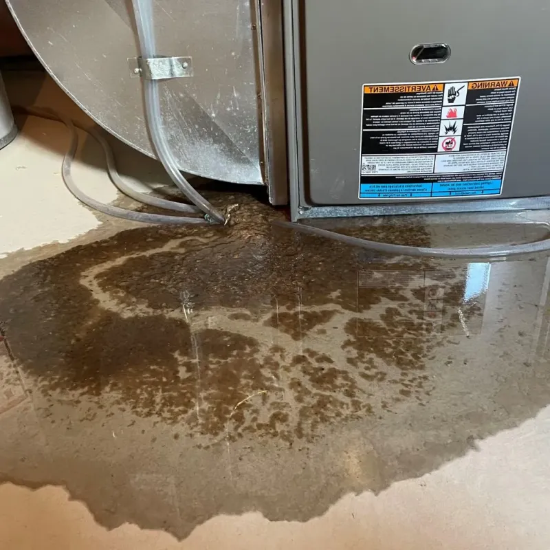 Pipe Burst and Leak Restoration in Clay County, KS